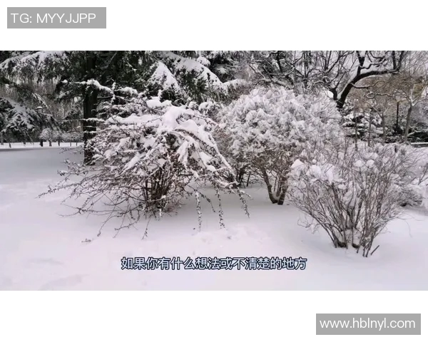 广州乒乓球队的节奏解析与热点动态深度剖析 广州乒乓球队的节奏解析与热点动态深度剖析