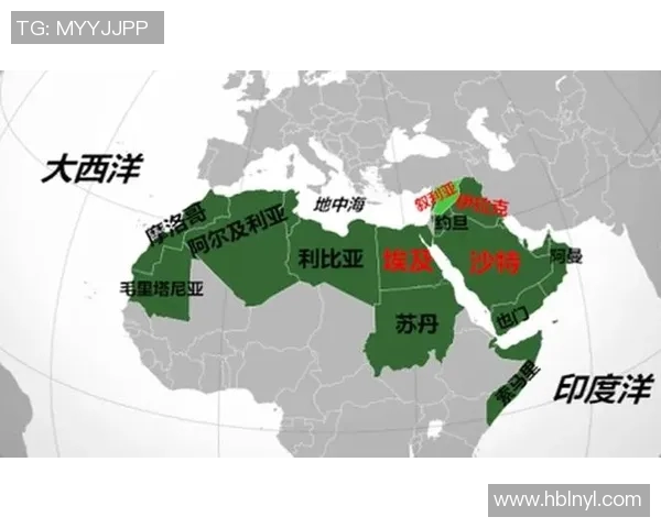 沙特与埃及贸易往来分析及其对双方经济盈亏的影响探讨