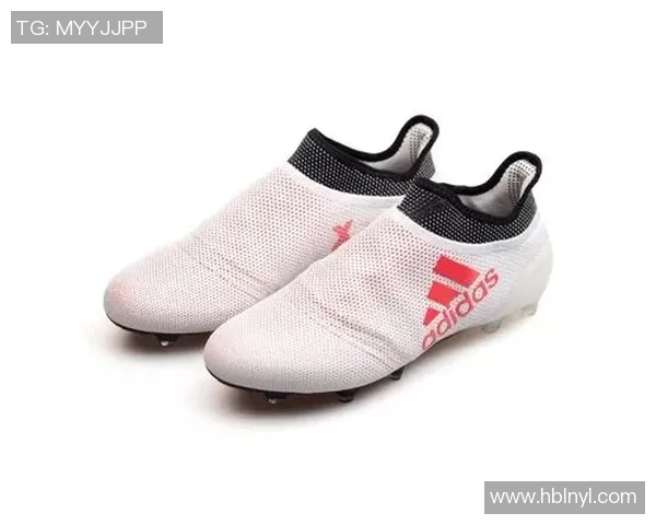 法国与澳大利亚射箭对决精彩纷呈谁将赢得荣誉之战